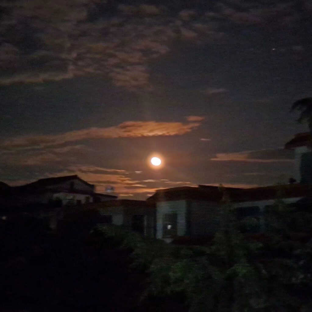 哈林的星际的翻唱